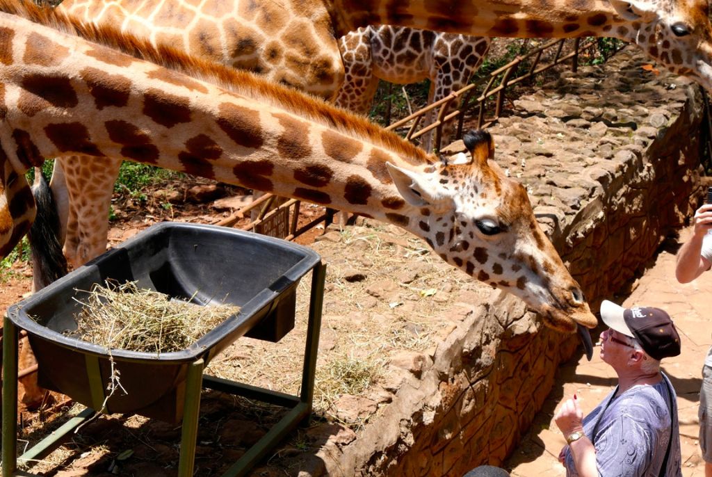 Visite Girafe Center Nairobi