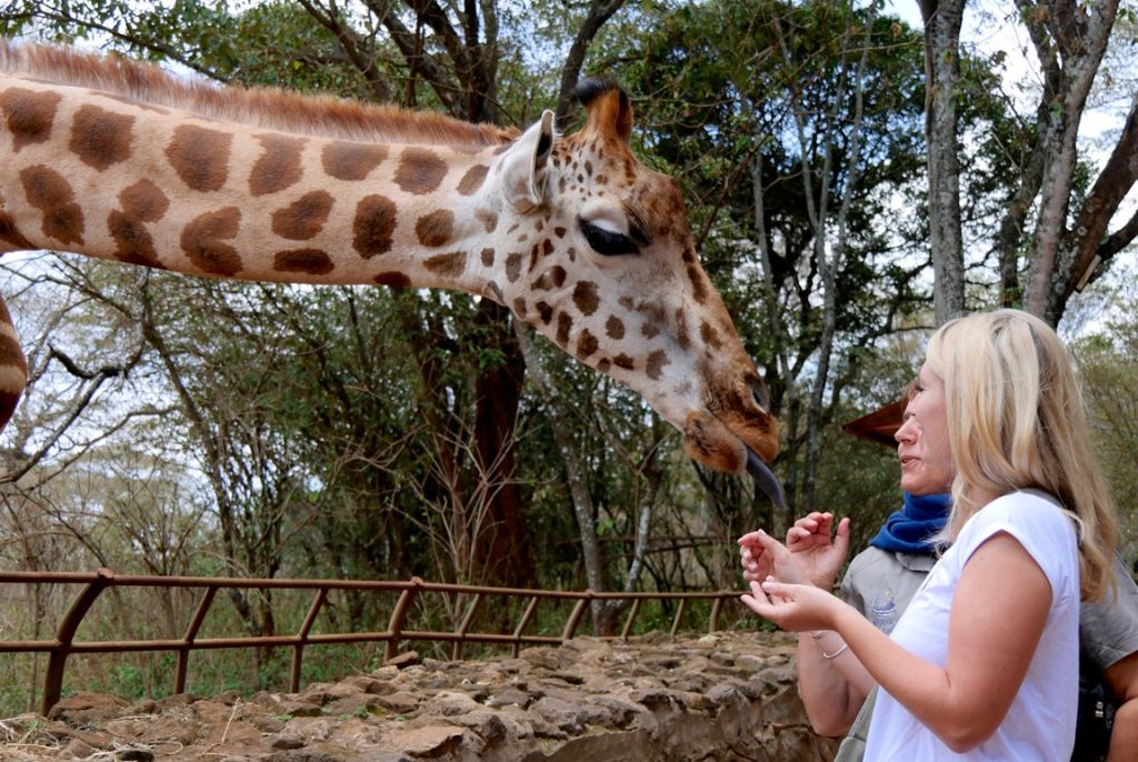 Visite Girafe Center Nairobi